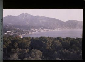 Image représentant Vue panoramique sur la baie de Menton et son environnement, par-delà la frondaison de pins