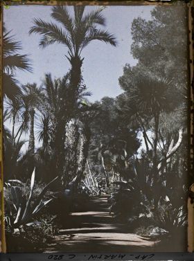 Image représentant Une allée du jardin