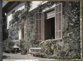 Image représentant La villa Miramar et sa glycine