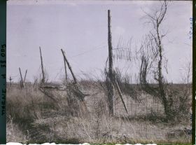 Image représentant France, Nauroy, Vestiges de Camouflage de la route entre Beine et Nauroy