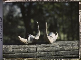 Image représentant Sabots bethmalais