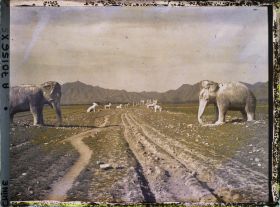 Image représentant Ming Shisanling (" Treize Tombeaux des Ming ")