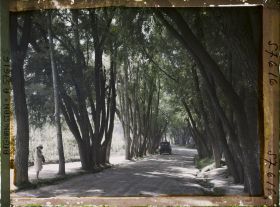 Image représentant Une allée du village