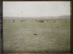 Image représentant Chevaux dans le Kosovo Polje ou plaine du Kosovo
