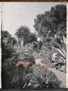 Image représentant Cap Martin Le Jardin