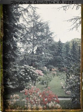 Image représentant Rhodos et azalées, à l'arrière-plan la pelouse du marais