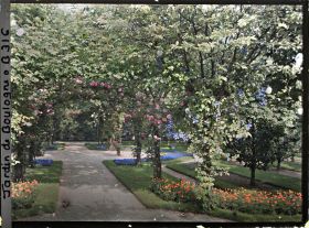 Image représentant Axe central du verger-roseraie vu depuis le second carrefour avant la dépendance