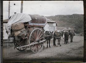 Image représentant Une voiture attelée de quatre ânes en file