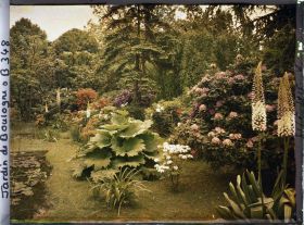 Image représentant Massif d'arbustes et gunnera situés au bord des bassins, à l'est du marais, vu en direction du nord