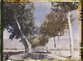 Image représentant Afghanistan, Kaboul, La route de Paghman Kaboul, effet d'automne