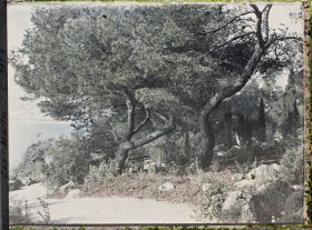 Image représentant Cap Martin Le Jardin