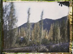 Image représentant Vue vers la chaîne de Paghman depuis le Jardin du Palais royal (Bâlâ Bâgh, "jardin d'en haut")