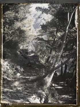 Image représentant Sengen-yama (Mont Sengen) : sentier à flanc de montagne
