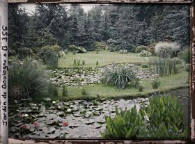 Image représentant Nénuphars et sagittaires fleuris dans les bassins du marais, vus du nord-ouest en direction de la forêt bleue