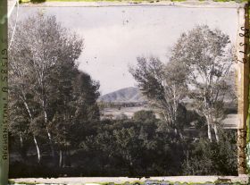 Image représentant Paysage (plaine plantée d'arbres)