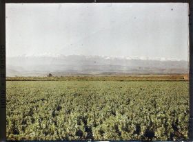 Image représentant Vue vers la chaîne du Mont Liban