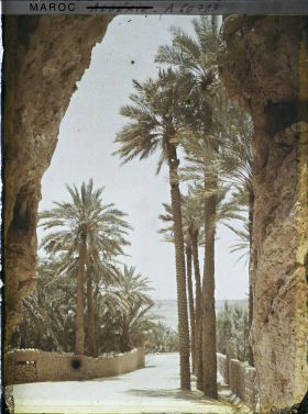 Image représentant La sortie de la palmeraie