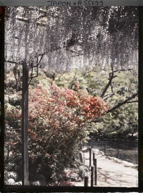 Image représentant Hibiya-koen (parc de Hibiya), glycines et azalées au bord de l'étang shinkei