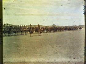 Image représentant Une compagnie de bédouins Méharis