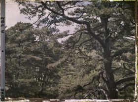 Image représentant Fuling (" tombeau de la Félicité "), appelé aussi Dongling (" tombeau de l'Es ")