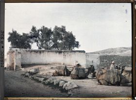 Image représentant Caravane de dromadaires au repos, près d'un tombeau