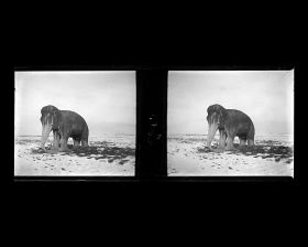 Image représentant Ming Shisanling ("Treize Tombeaux des Ming"). L'un des deux éléphants debout de l'allée des statues