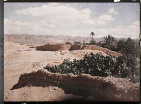 Image représentant Les murs de clôture de jardins et de palmeraies probablement dans le village Rouge