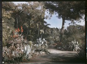 Image représentant Cap Martin Le Jardin