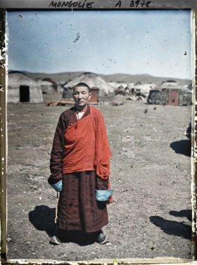 Image représentant Un lama