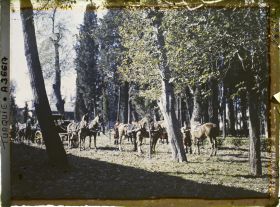 Image représentant Préparatifs du carrosse du Khalife au Topkapi-Sarayi (" palais de la Porte-du-Canon "), le jour de l'investiture du Calife