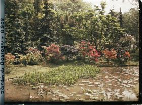 Image représentant Bord " d'étang " au nord du marais, fleuri d'azalées et de rhododendrons, vu vers l'est, nord-est