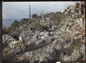 Image représentant Cap Martin Le Jardin