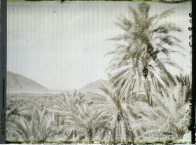 Image représentant Vue de l'oasis et du col de Zenaga