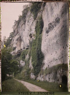 Image représentant France, Gorge d'Enfer, les placages de lierre et le grand figuier sur la paroi abrupte