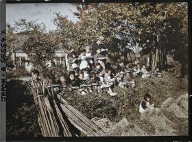 Image représentant Ecolières à l'étude du dessin d'après nature