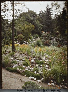 Image représentant Espace rocailleux et fleuri du " jardin chinois ", qui jouxte le " sanctuaire japonais "