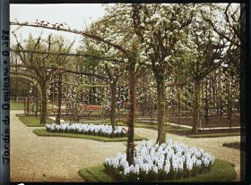 Image représentant Partie sud-est du verger-roseraie, vue depuis le rond-point fleuri proche du jardin français
