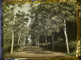 Image représentant Avenue de l'hôpital