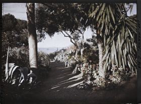 Image représentant Le Jardin (matin)