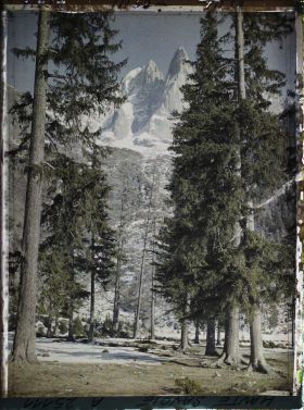 Image représentant France Les Alpes, Vallée de Chamonix, Du Village des Bois ; l'Aiguille Verte et l'Aiguille du Dru à travers les Sapins