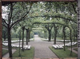 Image représentant Axe central du verger-roseraie photographié non loin de la dépendance, en direction du jardin anglais