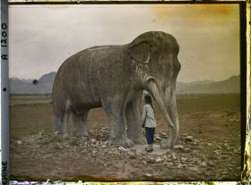 Image représentant Ming Shisanling (" Treize Tombeaux des Ming ")