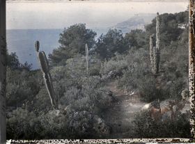 Image représentant Cap Martin Le Jardin