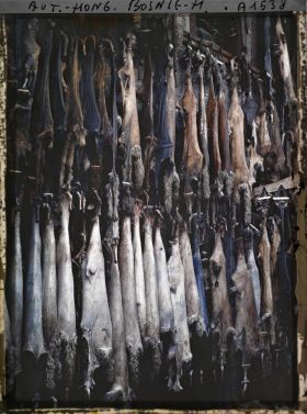 Image représentant Les tanneries