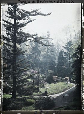 Image représentant Partie de jardin à l'ouest du " village japonais "  dont les arbres dissimulent le pavillon de thé