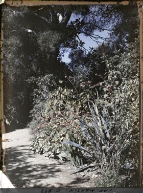 Image représentant Une allée du jardin