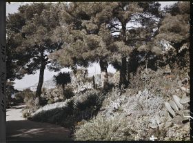 Image représentant Le Jardin, Grande allée vers Monaco