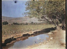 Image représentant Cultures de maïs