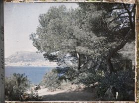 Image représentant Cap Martin Le Jardin