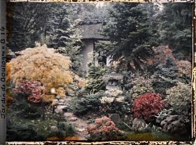 Image représentant Pas japonais menant à l'ouest de la maison de thé cachée par la verdure du " village japonais "